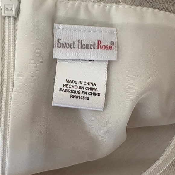 Sweet Heart Rose silver metallic with embroidered trim, tie and zip back,size 6X - Picture 5 of 9